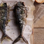 Makrela s olivovou panádou